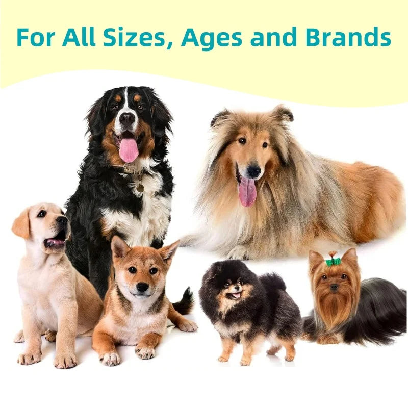 Free Sample Increases Energy & Mobility Pet Health Care & Supplements Soft Chews for Dogs & Cats