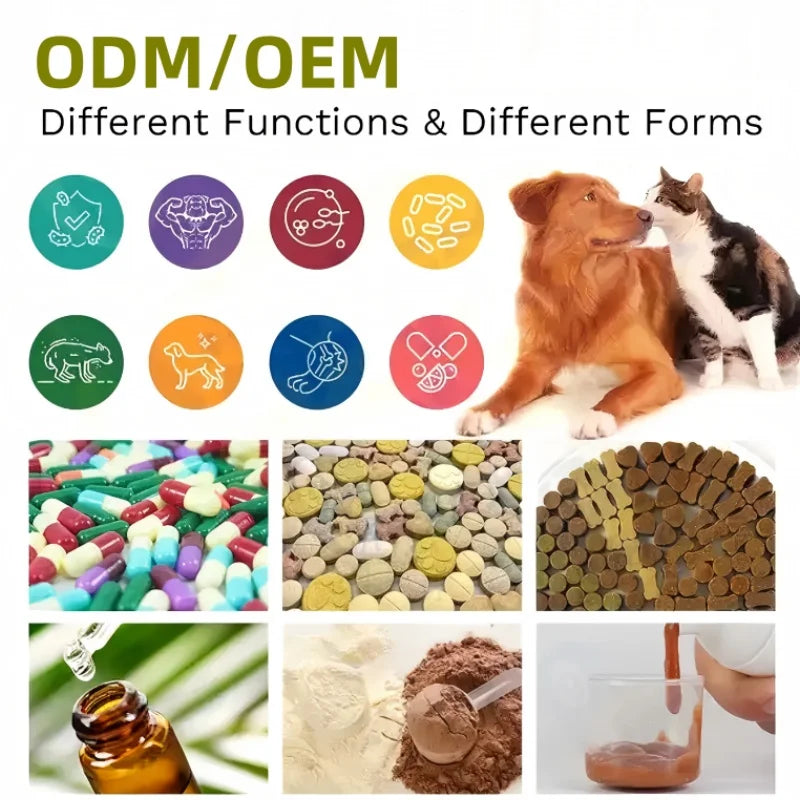 Wholesale Price Mushroom Powder Lion's Mane Cognition & Brain Health Dog for All Breeds Pet Supplements Free Sample