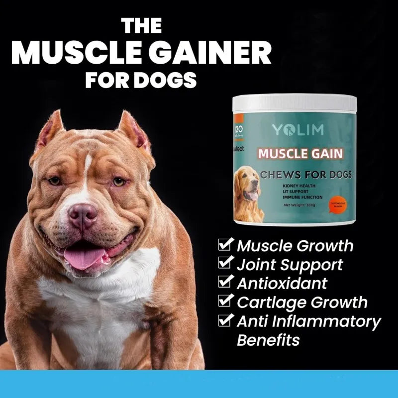 Private Label Builds and Maintains Muscle Pet Supplements and Vitamins Soft Chews with Amino Acid