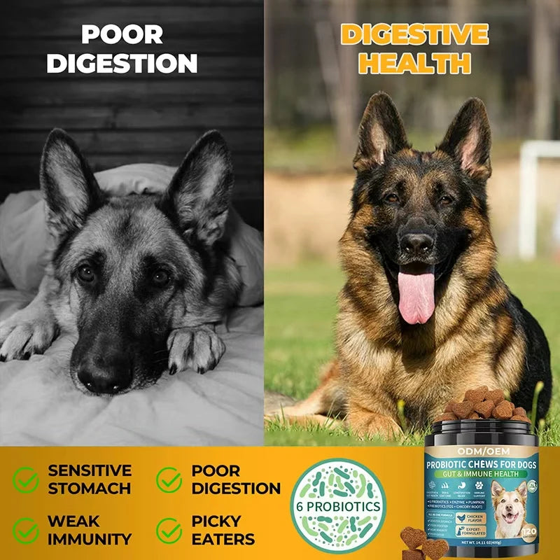 Free Sample Helps Ease Upset Stomach Pet Health Care & Supplements Dog Probiotics for Digestion Health