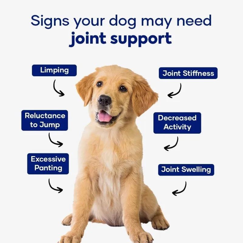 Wholesale Bulk Increases Energy & Mobility Dog Treats Joint Health MSM Glucosamine for Dogs Pet Supplements Secure Packaging