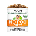 Wholesale Price Digestive Health & Immune Support Probiotics Supplement Pet Soft Chews for All Breeds