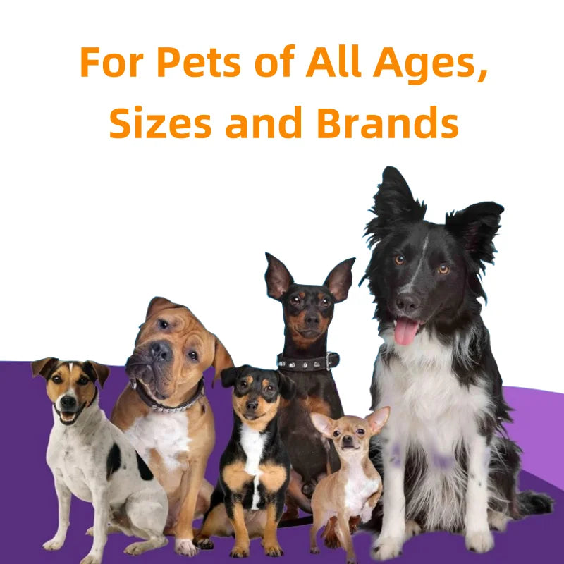 Full Customization Supported Strengthen Immune System and Digestive Health Dog Vitamins Powder Pet Supplements Fast Shipping