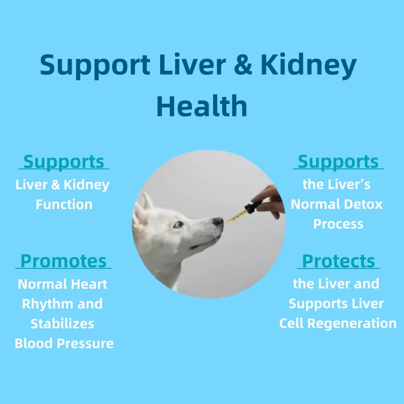 Free Sample Supports Liver Function Pet Health Care & Supplements Pet Collagen Drops for All Breeds