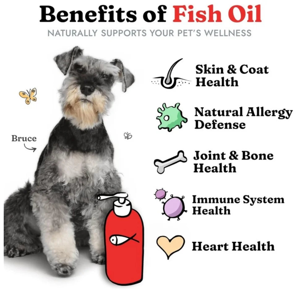 Custom Formulation Salmon Oil for Pet Skin & Coat | OEM/Private Label