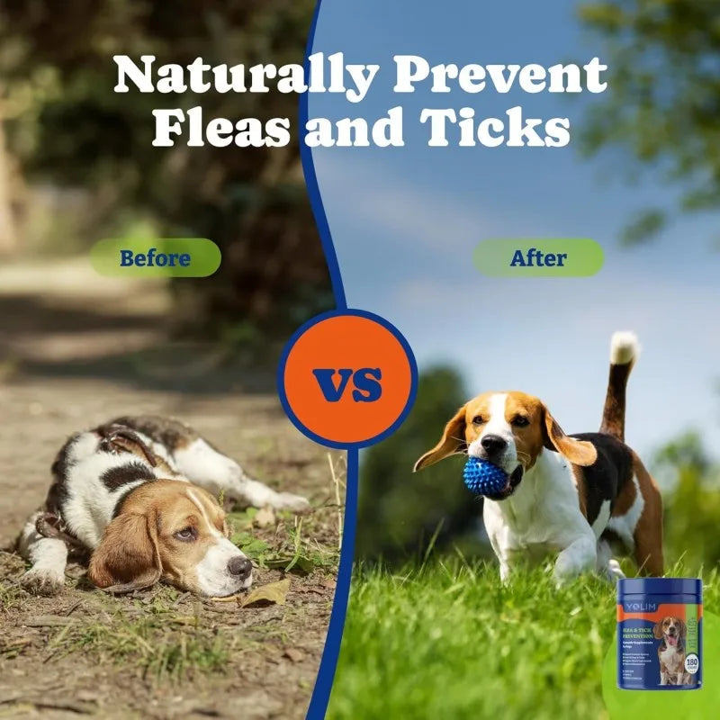 Bulk Supply Wholesale Pet Supplement Salmon Oil Skin & Coat Health Soft Chews for Dogs Fast Delivery