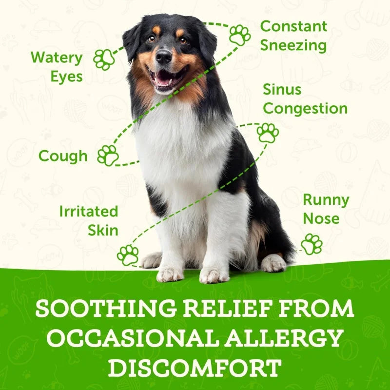 Factory Direct Pet Immune Care Tablets for Dogs & Cats Supports Overall Vitality with Colostrum 90 Tablets for All Breeds