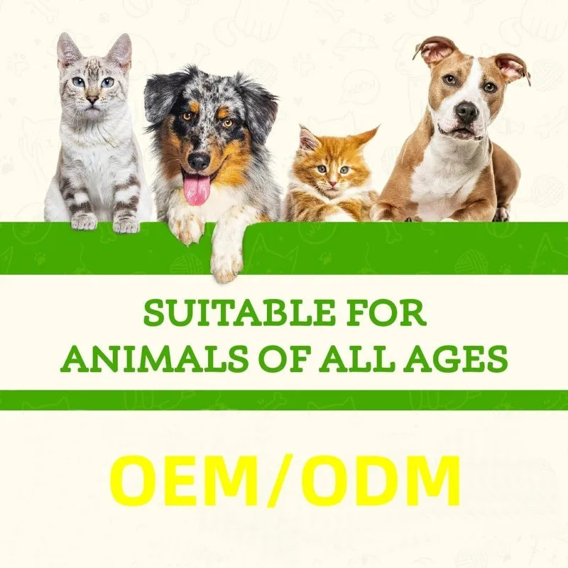 Wholesale Price Mushroom Powder Lion's Mane Cognition & Brain Health Dog for All Breeds Pet Supplements Free Sample