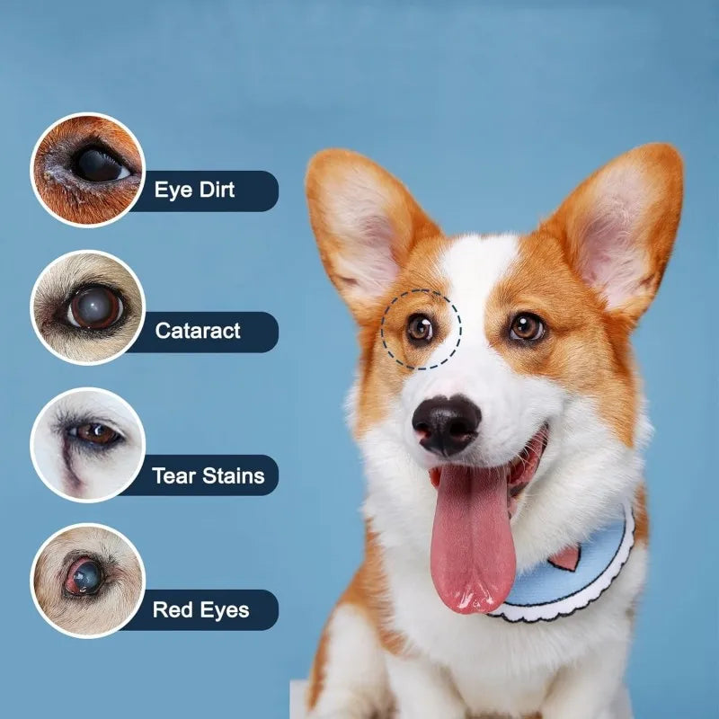 Private Label Pet Vision Support Tablet for Dogs Help Reduce Tear Stains & Eye Discharge with Selenium 120 Tablets Fast Shipping
