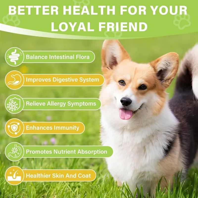 Wholesale Price Digestive Health & Immune Support Probiotics Supplement Pet Soft Chews for All Breeds