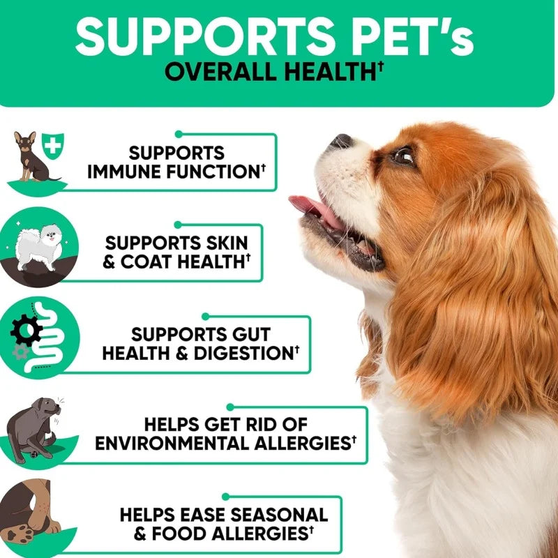 Professional Grade Regulating Intestine Protect Nutritional Active Compound Powder Omega 3 for Dogs Pet Supplements Free Sample
