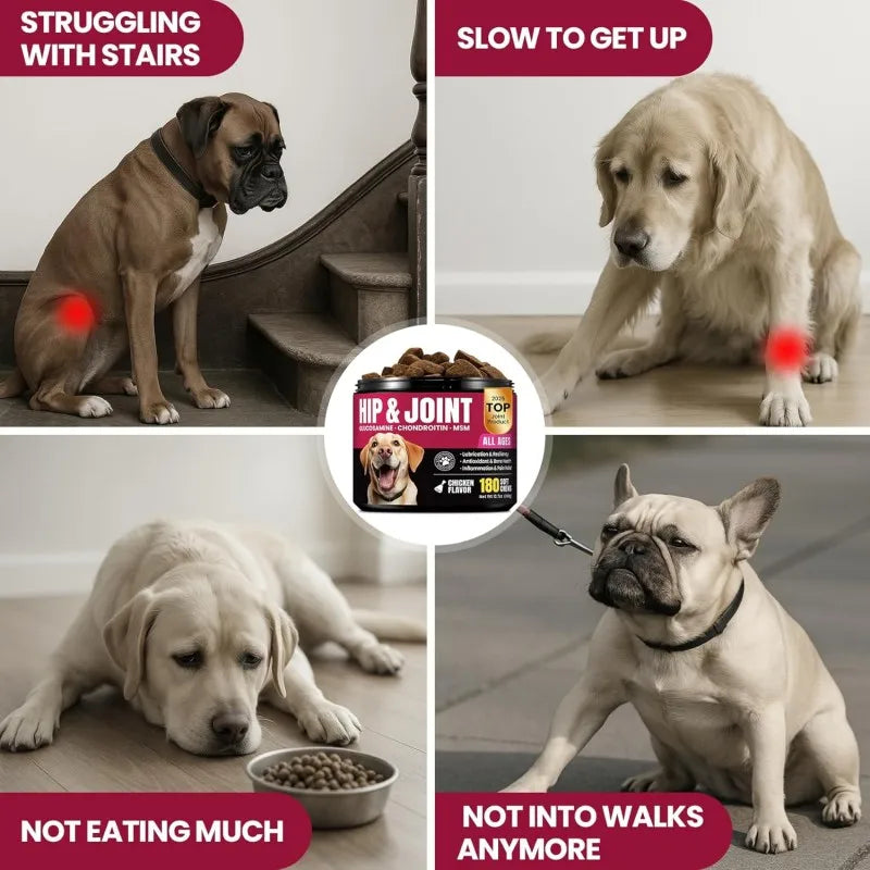 Free Sample Increases Energy & Mobility Pet Health Care & Supplements Soft Chews for Dogs & Cats