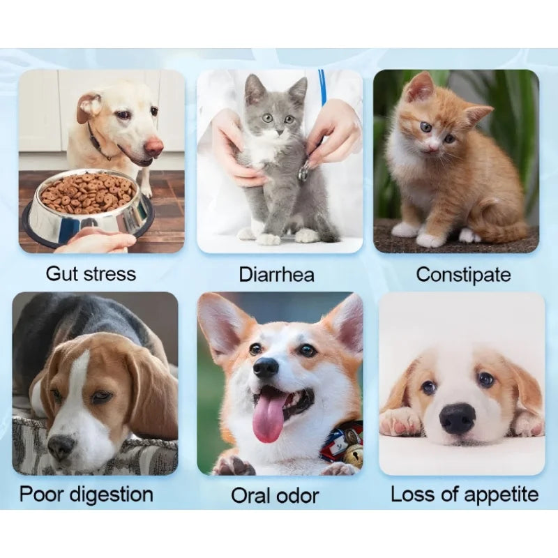 Flavor Customization Gut Function with Probiotics for All Breeds Pet Supplements Powder Secure Packaging