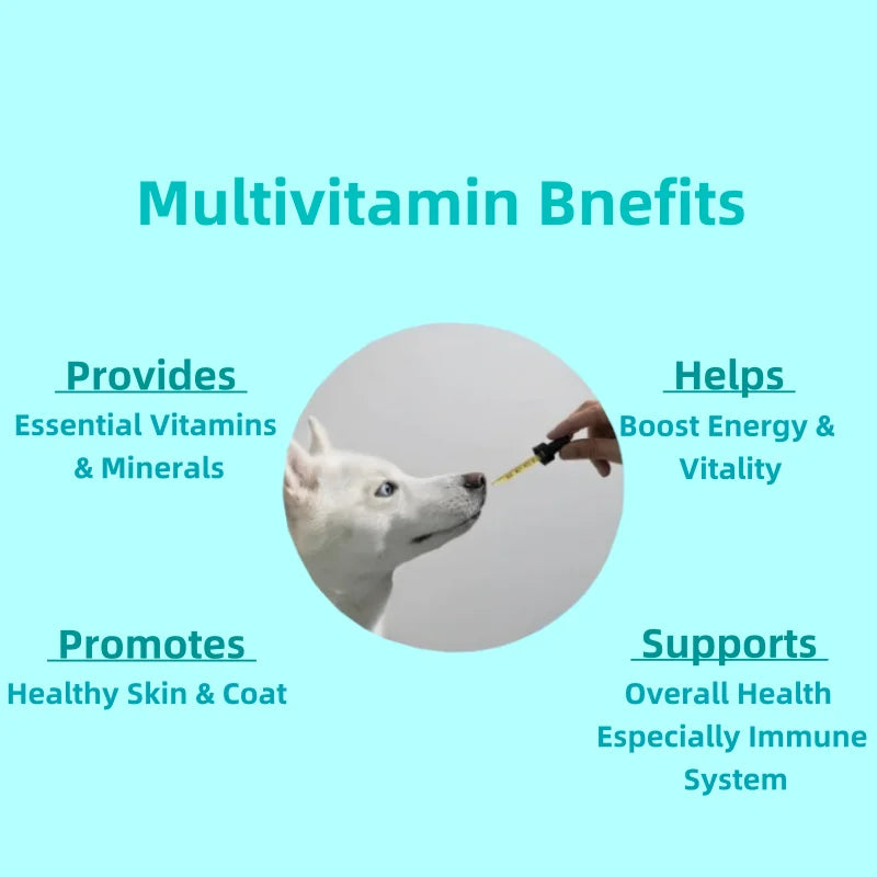 OEM/ODM Service Promote Hip and Digestive Health Pet Supplement Dog Vitamins Liquid  for Whole Body Health