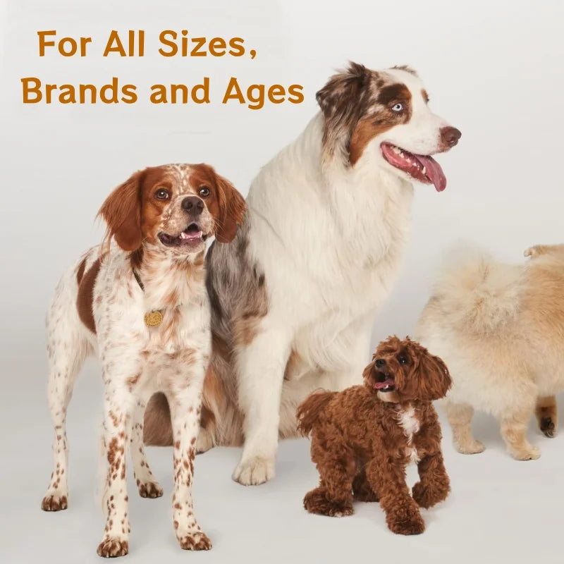 Free Sample Supports Liver Function Pet Health Care & Supplements Pet Collagen Drops for All Breeds