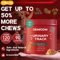 Private Label Dog Soft Chews Promotes Kidney Health Dog Supplement for Pet Urinary Health Care