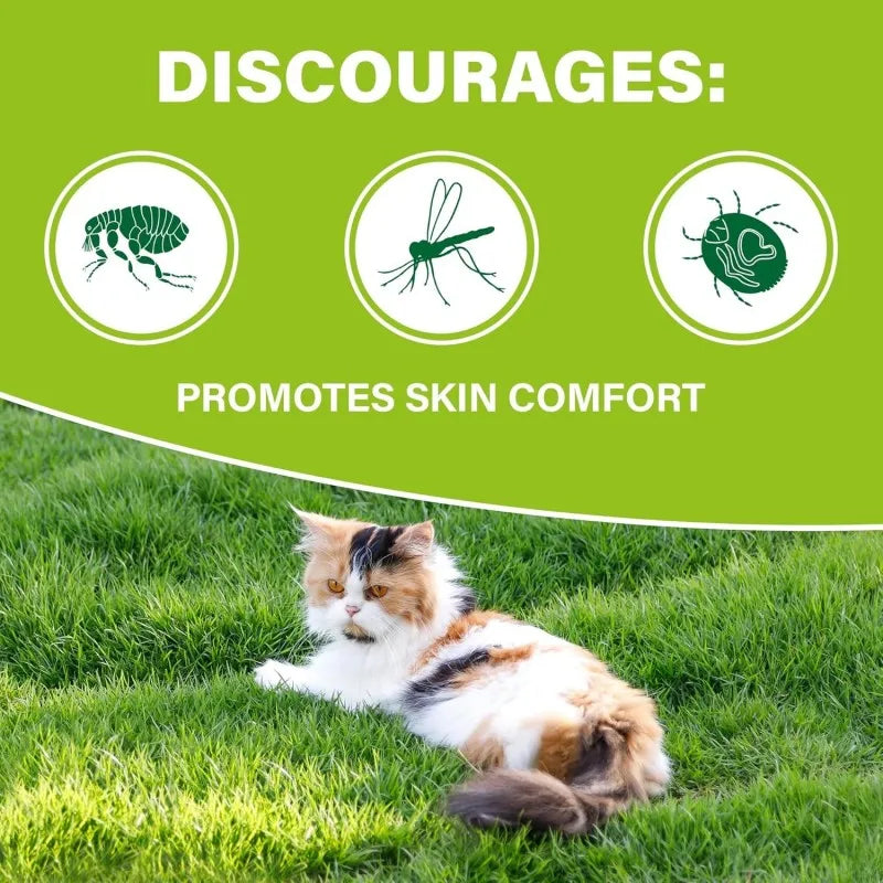 Free Sample Provides Immune Health Support Pet Health Care & Supplements Dog Vitamins for All Breeds