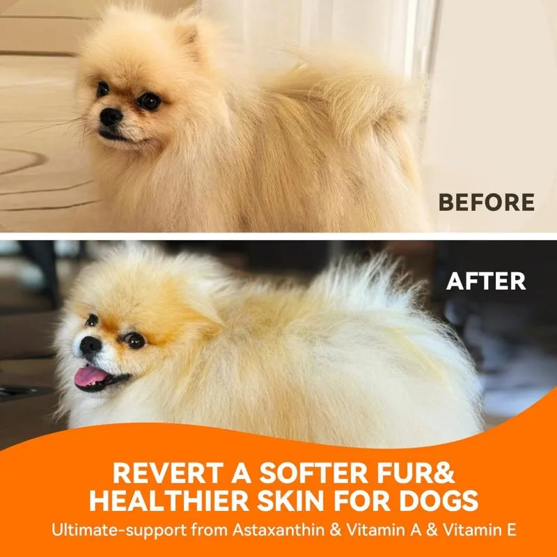 Wholesale Pet Salmon Oil for Skin & Coat | Bulk Supply & OEM Service