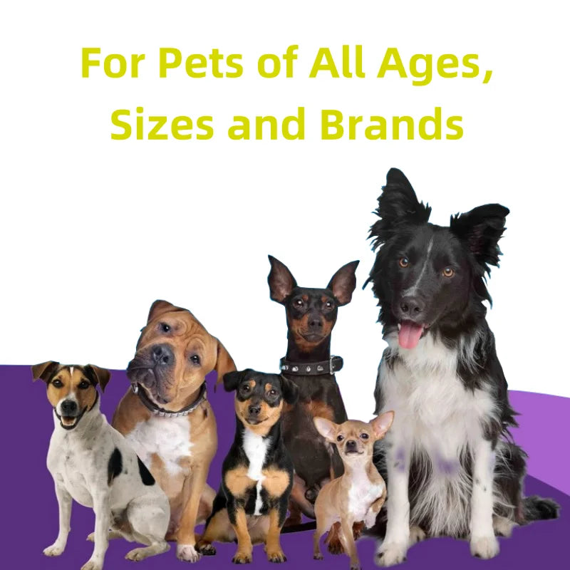 Secure Packaging Digestive Health Gut Function with Probiotics for All Breeds Pet Supplements and Vitamins Powder Fast Shipping