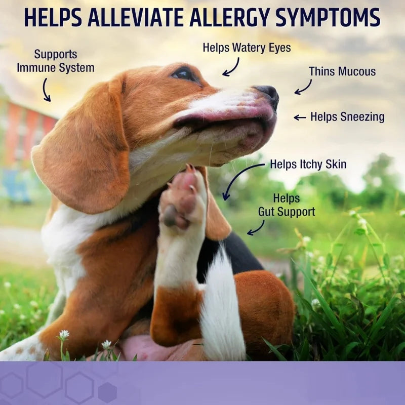 Free Sample Improves Skin & Coat Condition Pet Health Care & Supplements  Dog Treats with Probiotics
