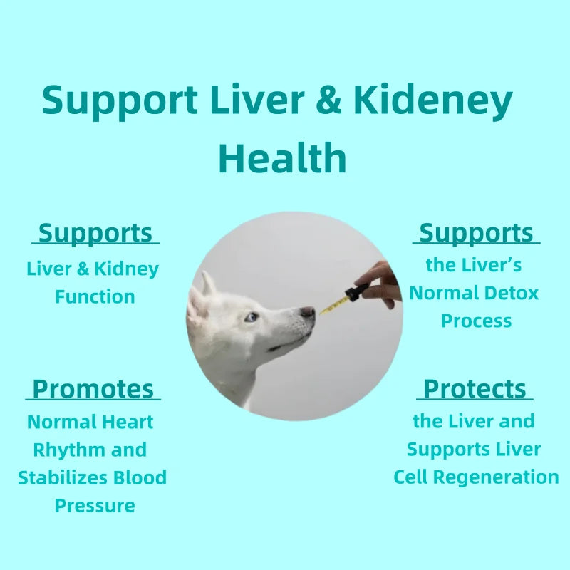 Hot Selling Advanced Liver & Kidney Liquid Support the Immune System Dog Supplement Pets Wellbeing with Milk Thistle Extract