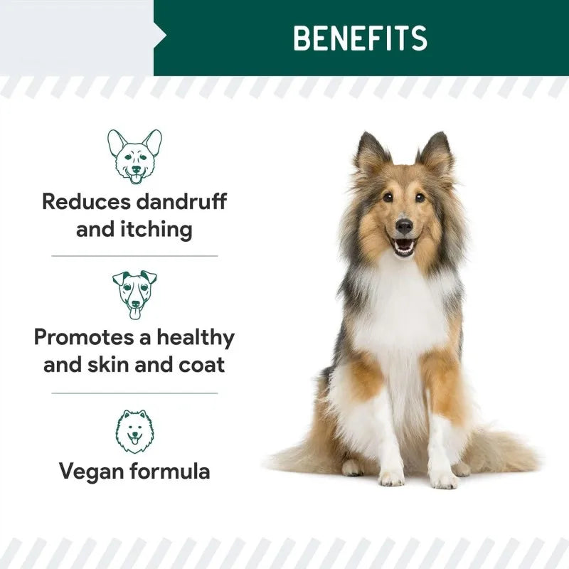 Omega-3 Salmon Oil for Skin & Hip Support | OEM/Private Label