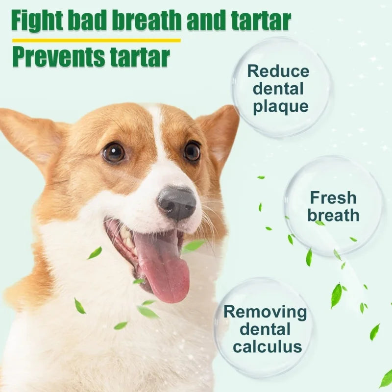 Factory Direct Teeth Cleaning Powder for Pet Supplements Oral Hygiene Care with Green Tea Extract 300g Free Sample