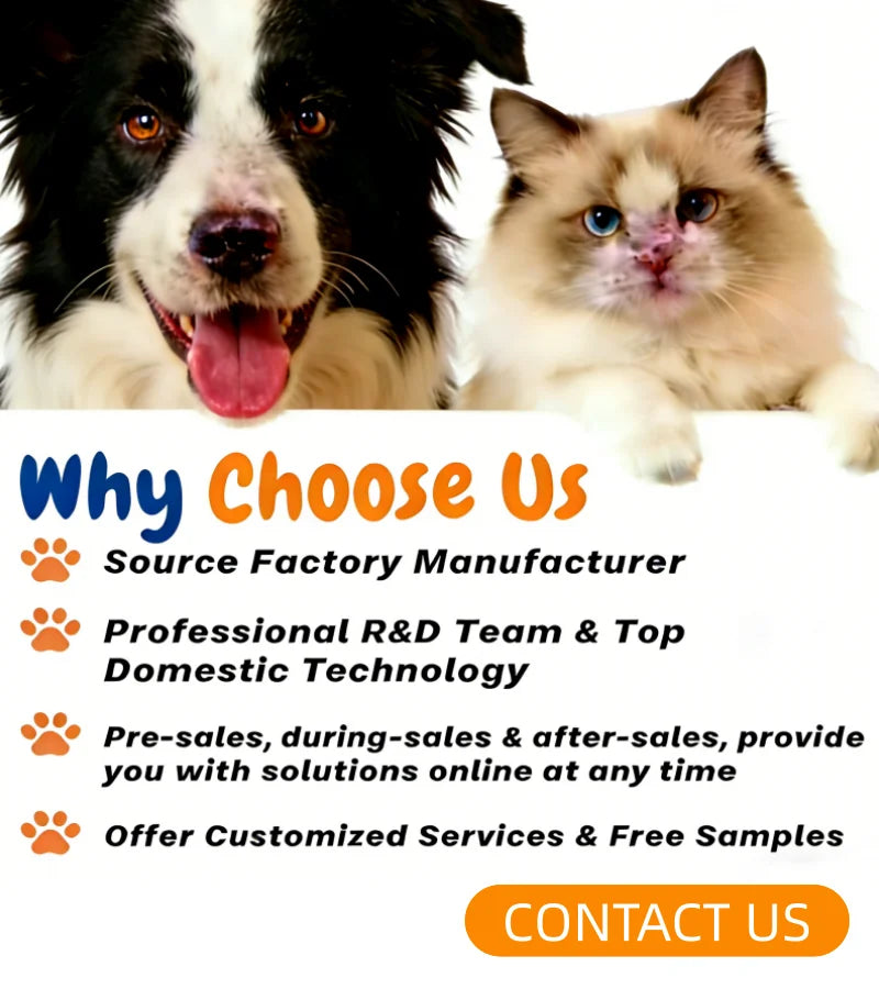 Private Label Hip & Joint Food for Pet Supplements & Vitamins Enhance Flexibility MSM 90 Chews Fast Shipping