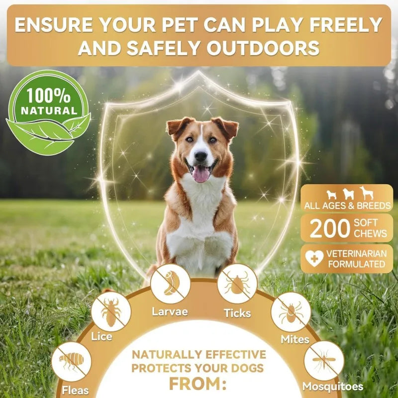 OEM/ODM Service Repel Fleas and Ticks Promote Skin & Coat Health Pet Health Care & Supplements Soft Chews for All Breeds