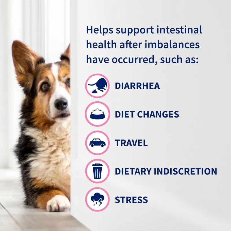 Quality Tracking Service Dietary Fiber Gut Health with Probiotics for Dogs Pet Powder Free Sample