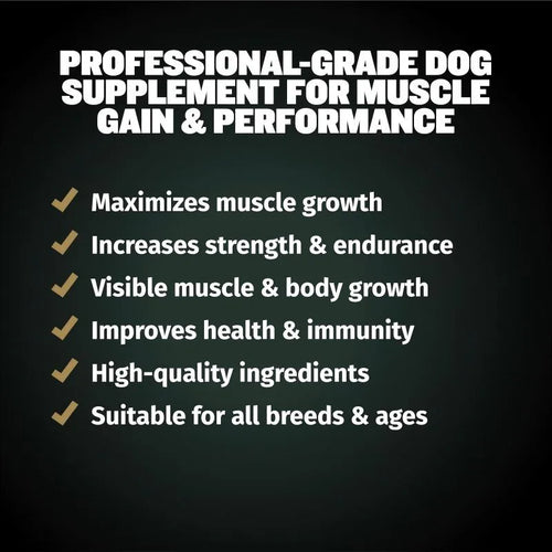 Custom Packaging Pet Health Care & Supplements with Mushroom Blend Dog Muscle Support Soft Chews
