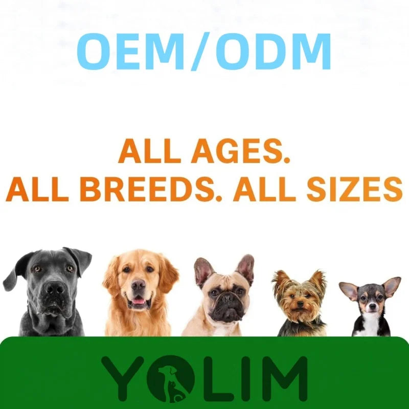 OEM/ODM Service Relieves Itching and Seasonal Allergies Dog Supplement Pet Collagen Drops with Omega 3