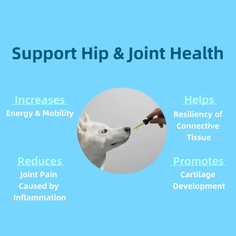 OEM/ODM Service Promotes Mobility & Flexibility Pet Health Care & Supplements Dog Vitamins for Joint Health