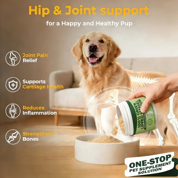 Finished Product Full Inspection Promote Mobility Dog Hip and Joint Powder for All Breeds Pet Supplements Fast Shipping