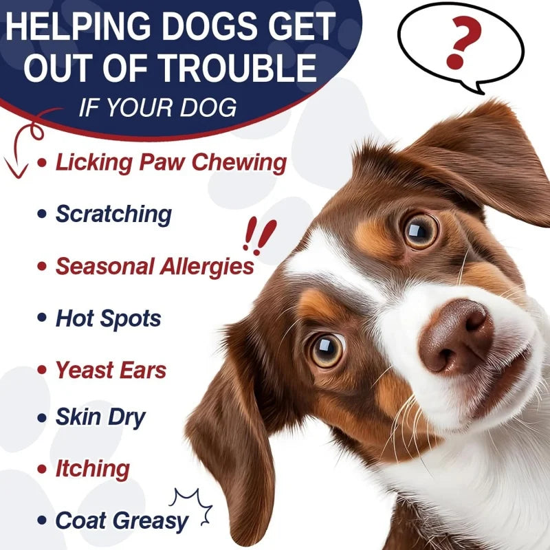 Wholesale Price Relieves Itching and Seasonal Allergies Pet Health Care & Supplements Soft Chews with Omega 3