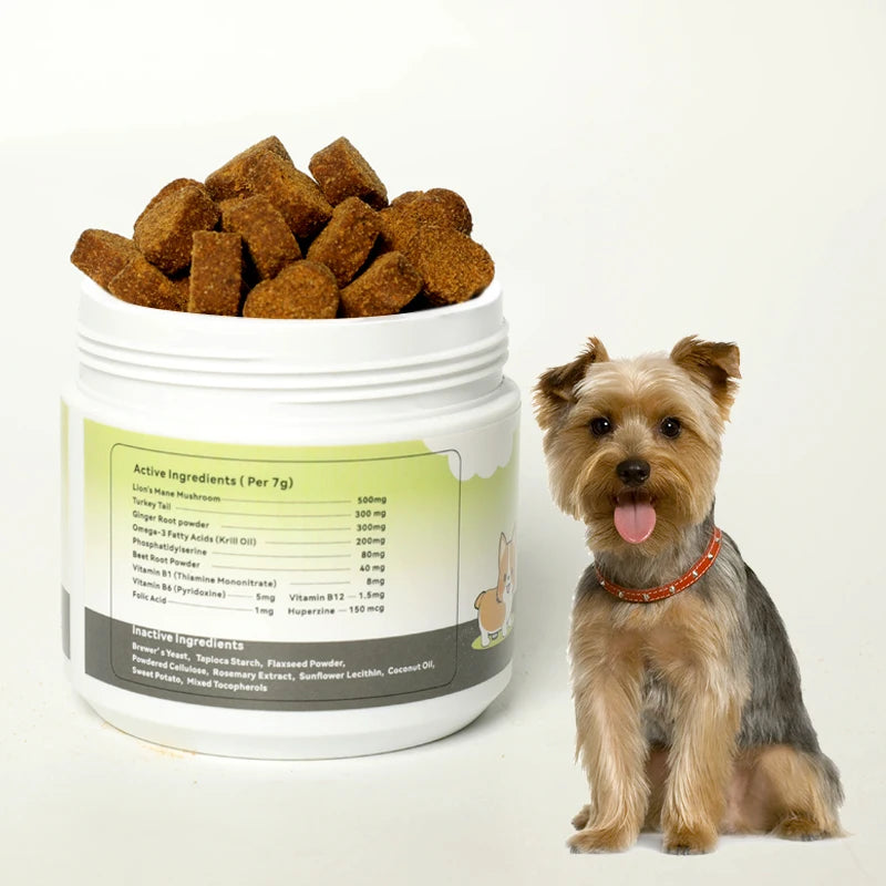 High Quality Brain Health and Focus Supports Pet Supplements and Vitamins Soft Chews with Omega 3
