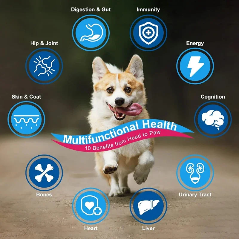 Cross Border Export Multivitamin 10-in-1 Chews for Pet Supplements Support Overall Health with MSM 90 Soft Chews