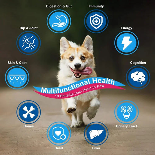 Cross Border Export Multivitamin 10-in-1 Chews for Pet Supplements Support Overall Health with MSM 90 Soft Chews