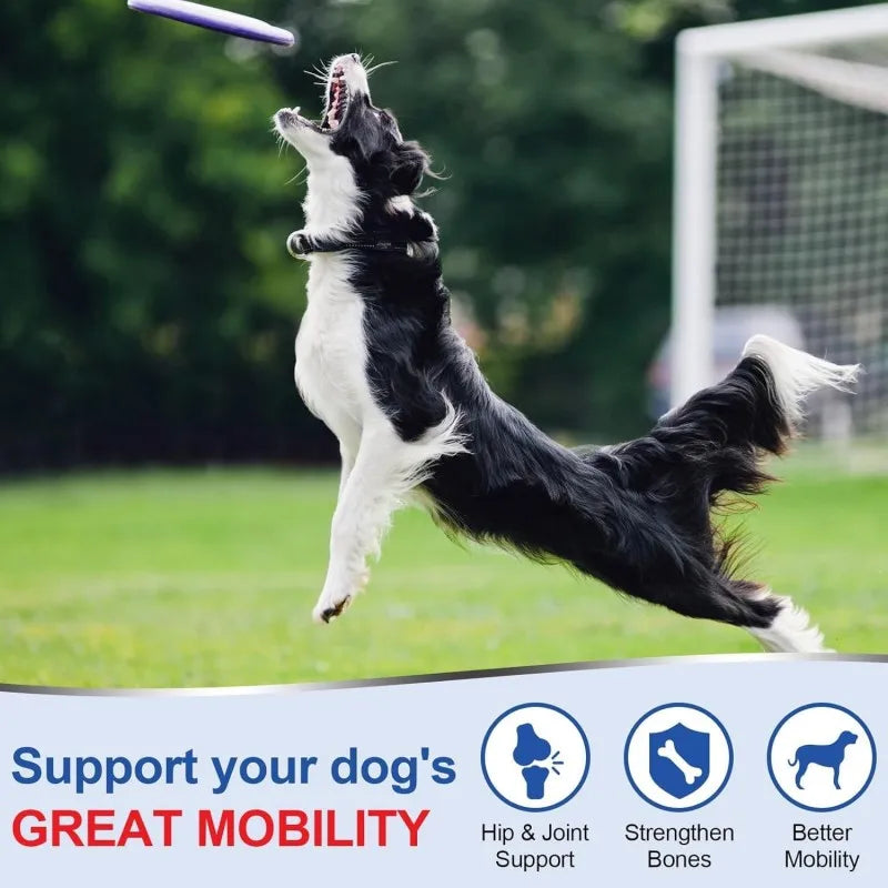 OEM ODM Hip & Joint Chews for Dogs & Cats Promotes Mobility Health with Glucosamine 120 Chews 300g Free Sample