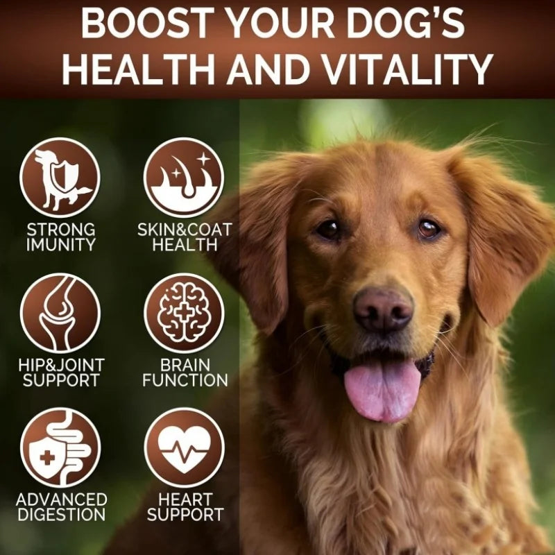 Private Label Customization Supports Immune System & Respiratory Health Dog Mushroom Powder Pet Supplements Fast Shipping