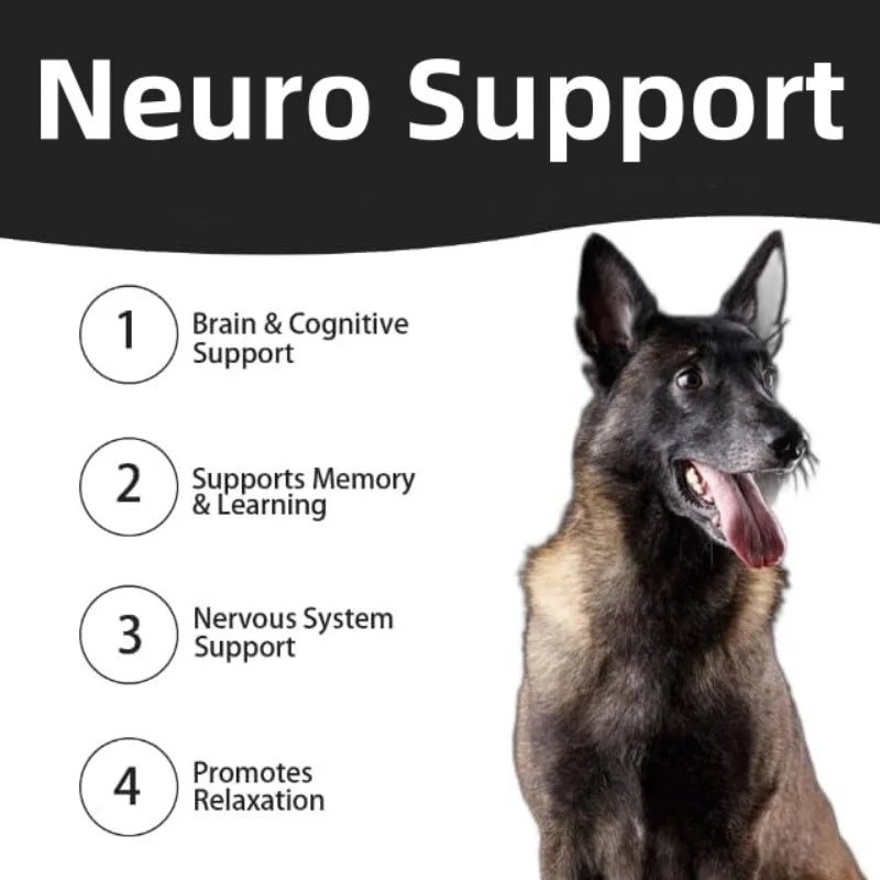 High Quality Brain Health and Focus Supports Pet Supplements and Vitamins Soft Chews with Omega 3