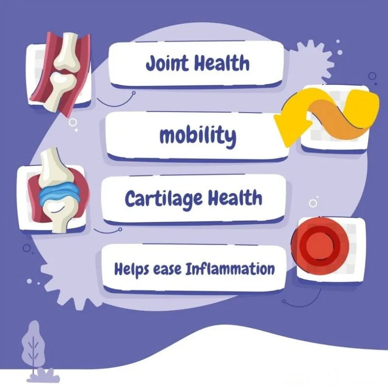 Private Custom Vet Strength Joint Tablets for Dog Health Care Promote Healthy Connective Tissue with Boron 60 Pills Free Sample