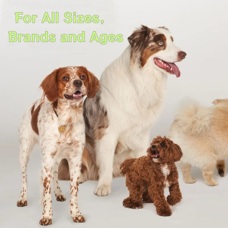 MSM Joint Powder for Pet Hip & Joint Support | OEM/Private Label