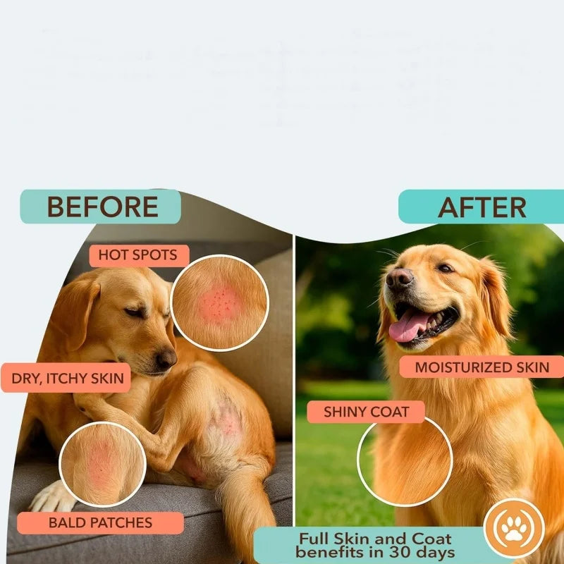 Private Label  Dog Soft Chews Supports Skin & Coat Health and Reduces Shedding Salmon Oil for All Breeds
