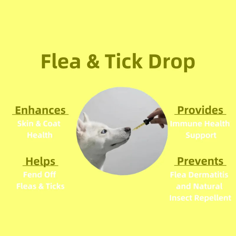 Free Sample Provides Immune Health Support Pet Health Care & Supplements Dog Vitamins for All Breeds