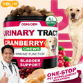 Cranberry Urinary Tract Support Soft Chews | OEM/Private Label