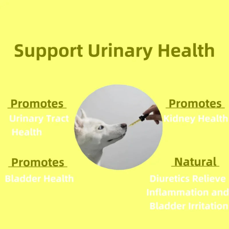 Wholesale Price Supports Bladder Health Pet Supplements and Vitamins Pet Collagen Drops for All Breeds