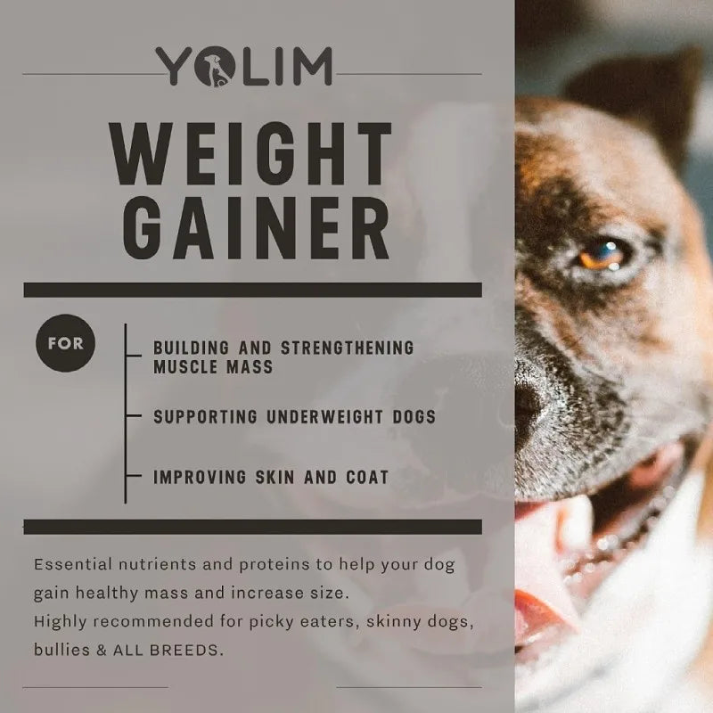 Custom Logo Increases Strength & Endurance Pet Health Care & Supplements Dog Soft Chews for All Breeds