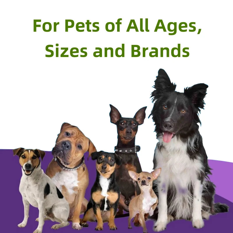 One-stop Service Dietary Fiber Support with Probiotics for All Breeds Pet Supplements Powder Free Sample