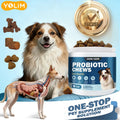 OEM/ODM Service Probiotic Chews for Dogs & Cats Seasonal Gut Care with Marshmallow Root Extract 120 Soft Chews Free Sample